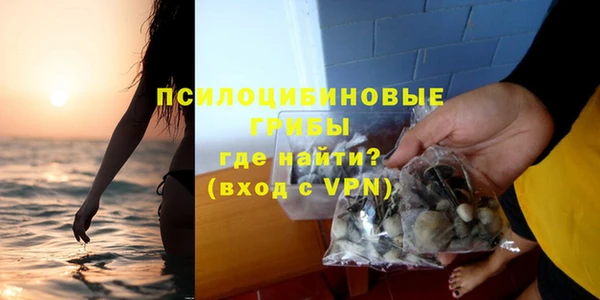 соль ск Касимов