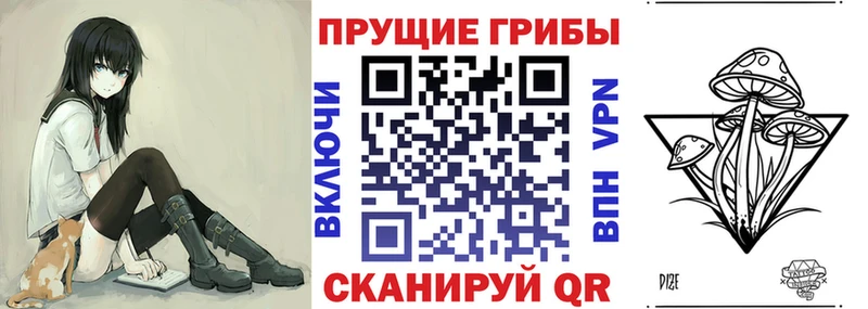 Купить  Гаджиево  Псилоцибиновые грибы Psilocybine cubensis 